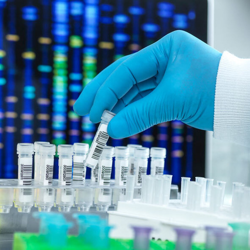 How to get a legal dna test