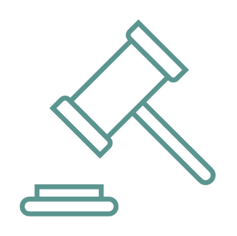 Legal DNA testing icon